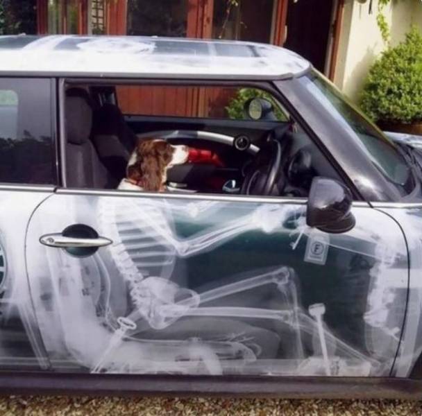 daily picdump 99 pics 12.html - 99 HD Photos | Premium Gallery 2019