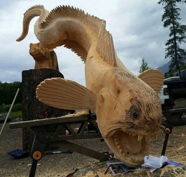 daily picdump 99 pics 12.html - 99 HD Photos | Premium Gallery 2019