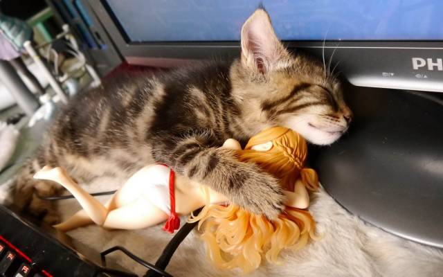 daily picdump 99 pics 12.html - 99 HD Photos | Premium Gallery 2019