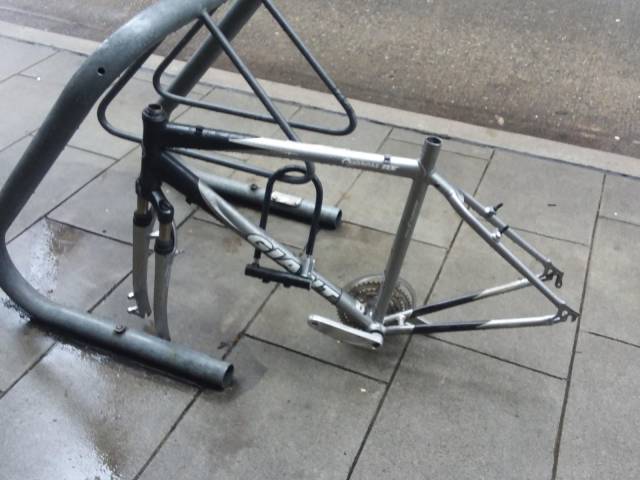 daily picdump 99 pics 12.html - 99 HD Photos | Premium Gallery 2019