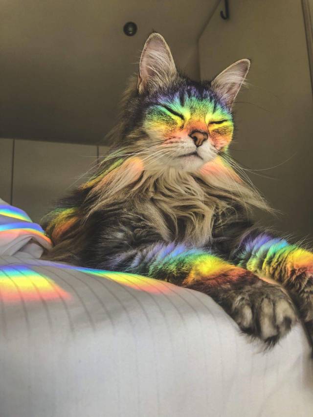 daily picdump 99 pics 12.html - 99 HD Photos | Premium Gallery 2019