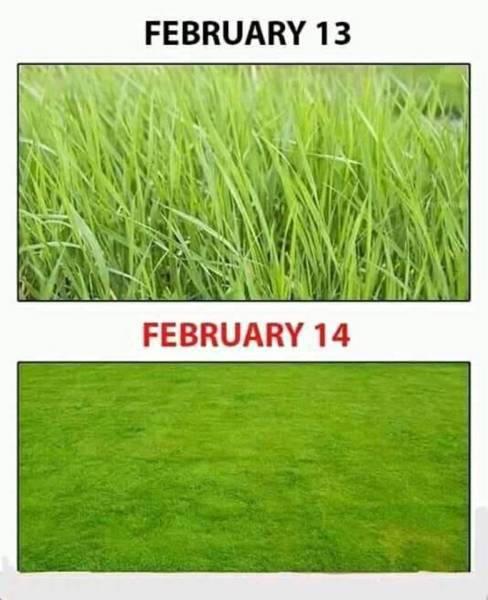 page,5,top 250 funny pics of the year 2019.html - 1 HD Photos | Premium Gallery 2019