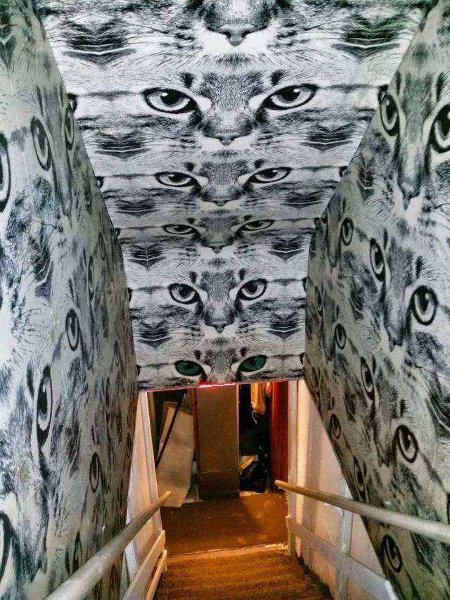 daily picdump 95 pics 2.html - 95 HD Photos | Premium Gallery 2019