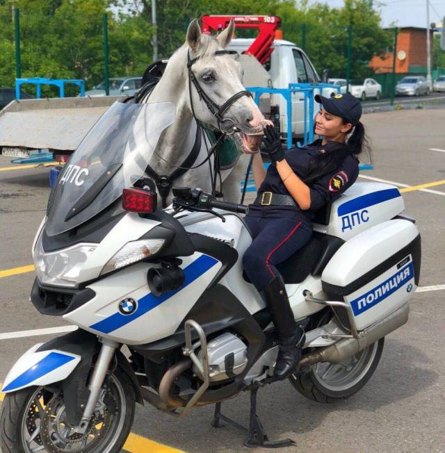 daily picdump 95 pics 2.html - 95 HD Photos | Premium Gallery 2019