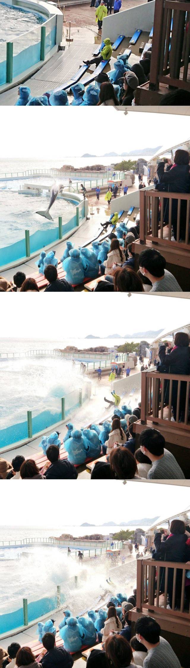 daily picdump 95 pics 2.html - 95 HD Photos | Premium Gallery 2019