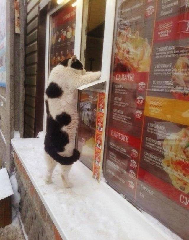 daily picdump 95 pics 2.html - 95 HD Photos | Premium Gallery 2019