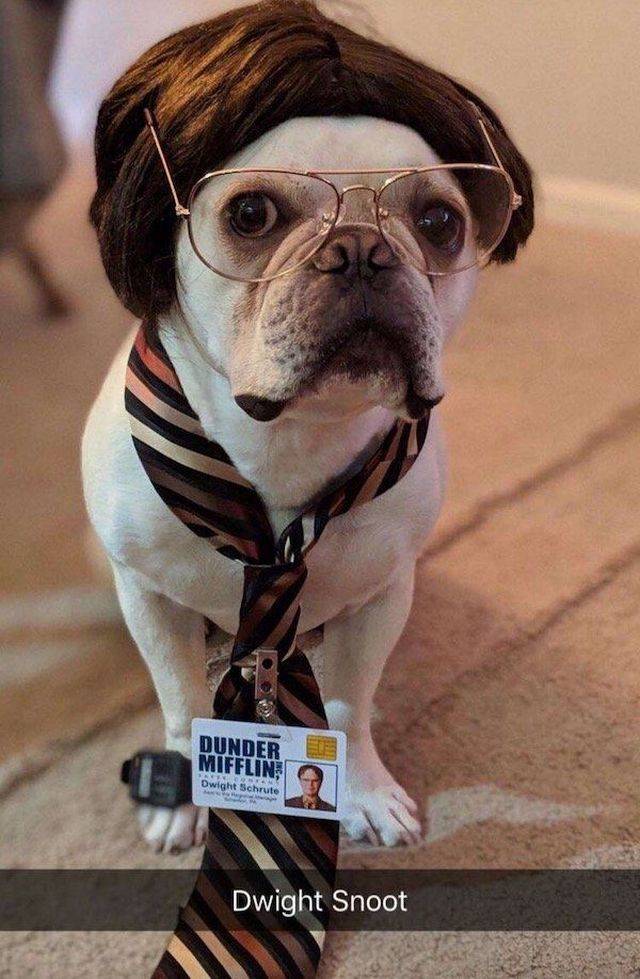 daily picdump 95 pics 2.html - 95 HD Photos | Premium Gallery 2019