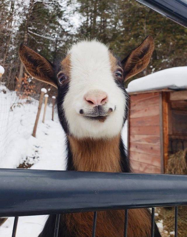 daily picdump 95 pics 2.html - 95 HD Photos | Premium Gallery 2019