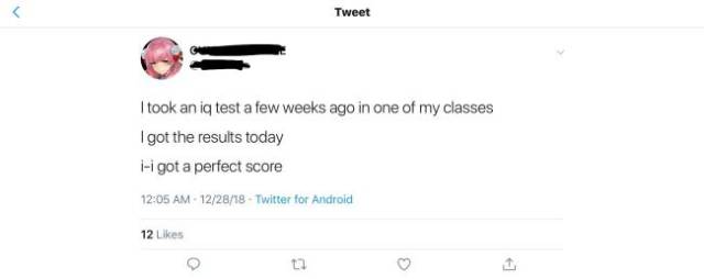 Just Look How Smart They Are!