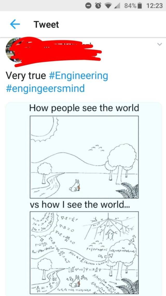 Just Look How Smart They Are!