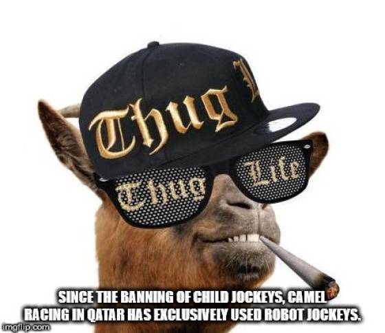 Everyone Likes Facts!