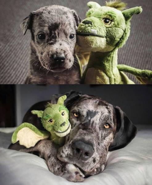 page,2,top 750 daily pics of the year 2019.html - 1 HD Photos | Premium Gallery 2019