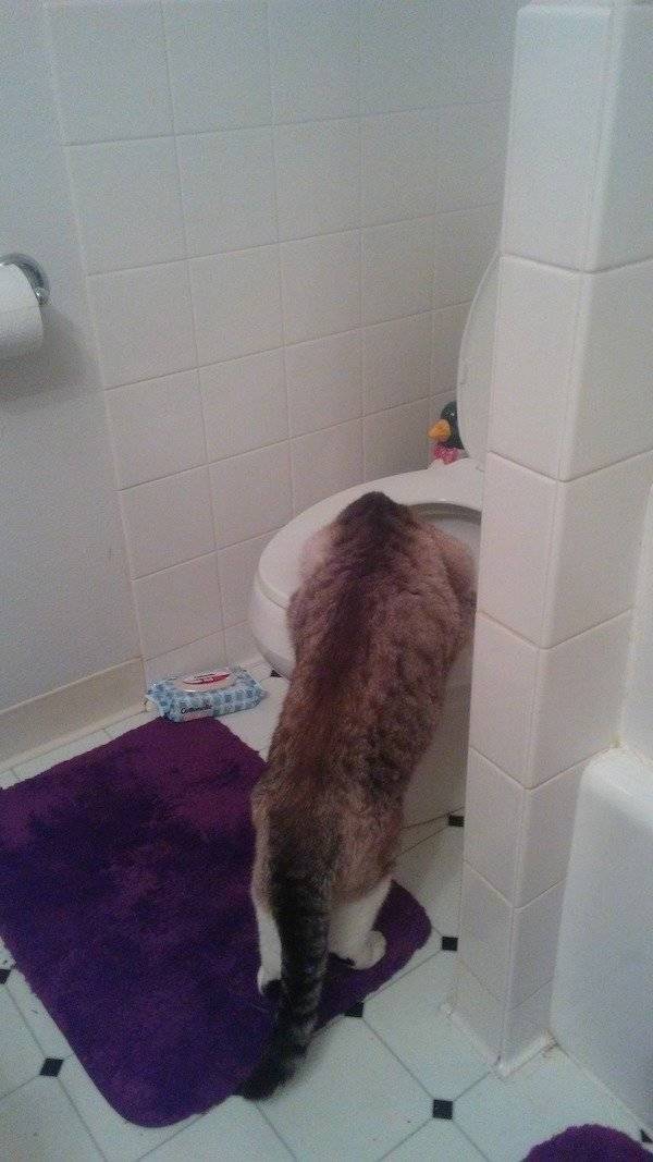 Drunk People Do So Many Stupid Things