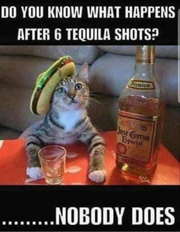 Drunk People Do So Many Stupid Things