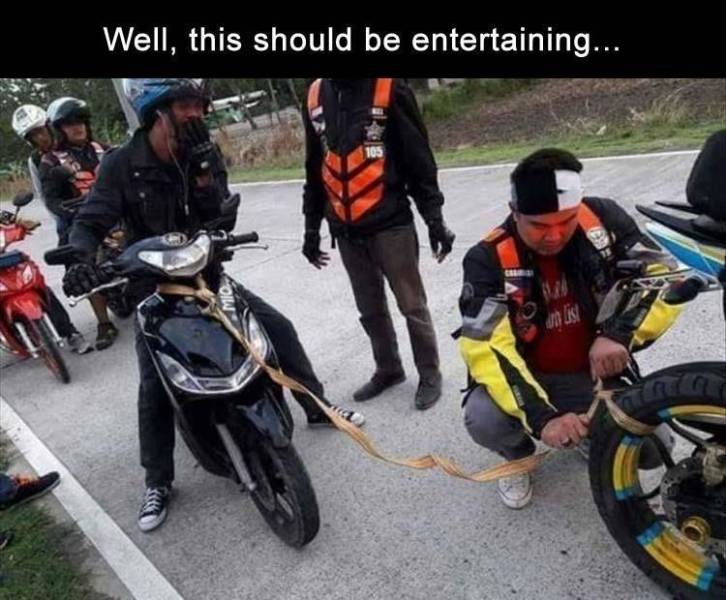 page,6,top 250 funny pics of the year 2019.html - 1 HD Photos | Premium Gallery 2019