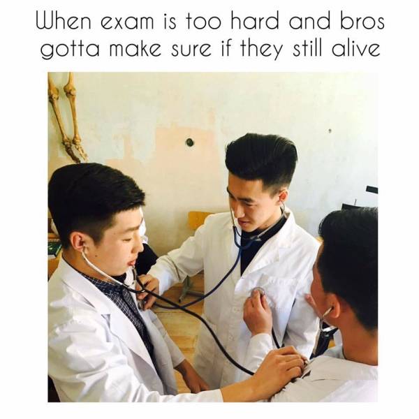 funny picdump 52 pics 3.html - 52 HD Photos | Premium Gallery 2019