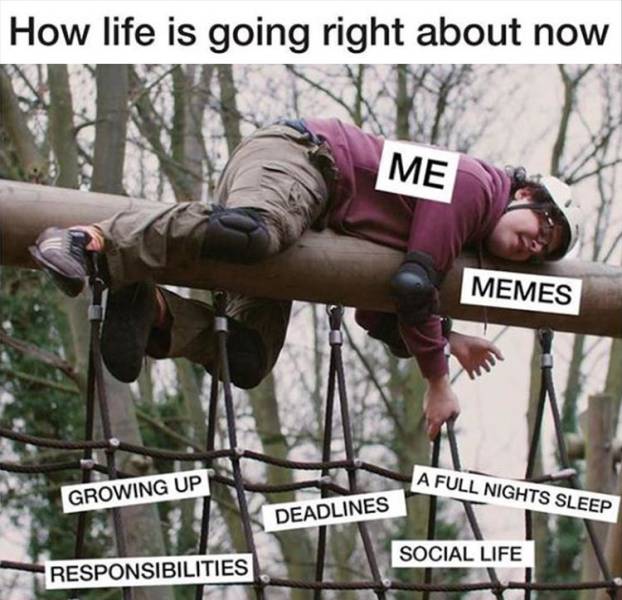 funny picdump 52 pics 3.html - 52 HD Photos | Premium Gallery 2019