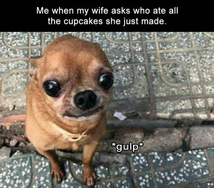 funny picdump 52 pics 3.html - 52 HD Photos | Premium Gallery 2019