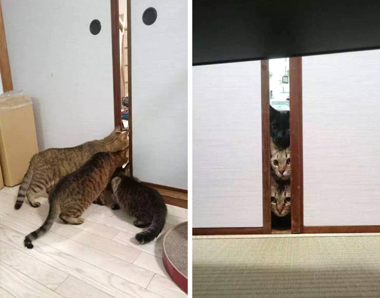 That First Time Is Always Magical