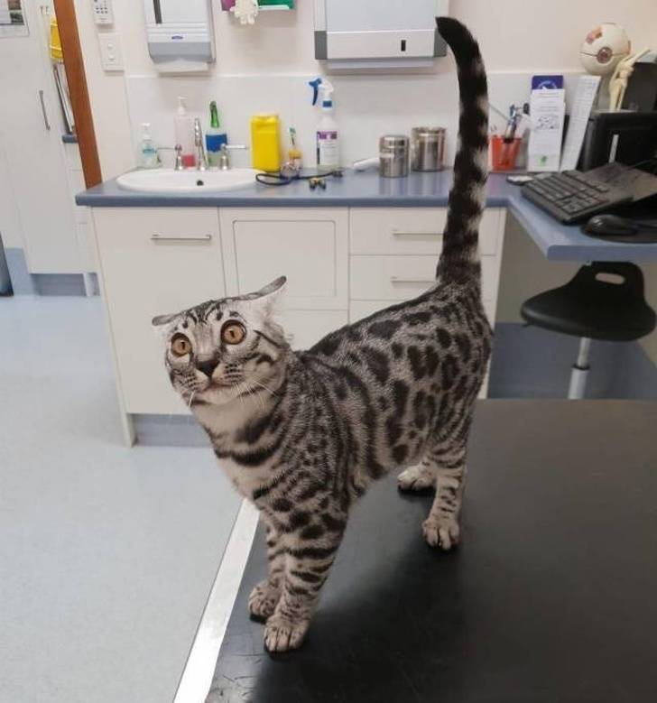 That First Time Is Always Magical