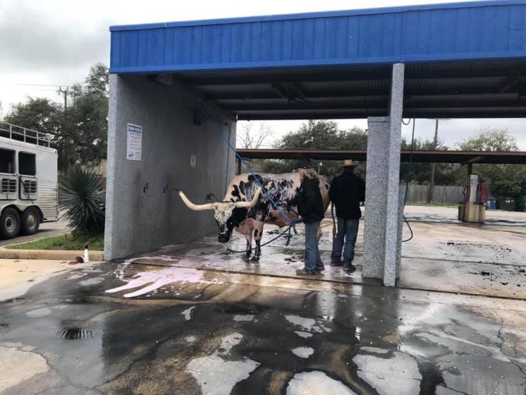 funny picdump 53 pics 14.html - 53 HD Photos | Premium Gallery 2019