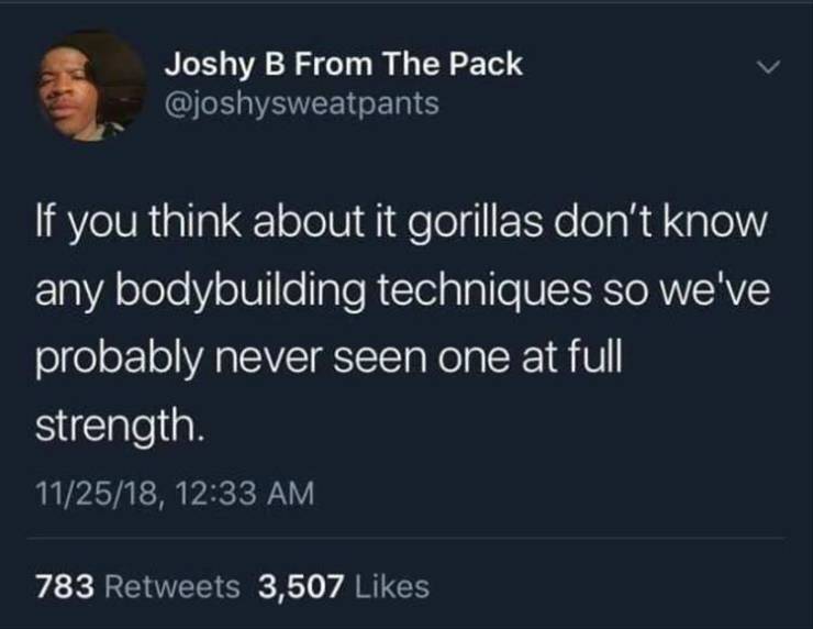 funny picdump 53 pics 14.html - 53 HD Photos | Premium Gallery 2019