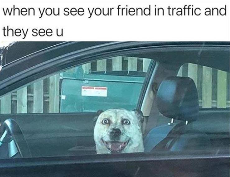 funny picdump 53 pics 14.html - 53 HD Photos | Premium Gallery 2019