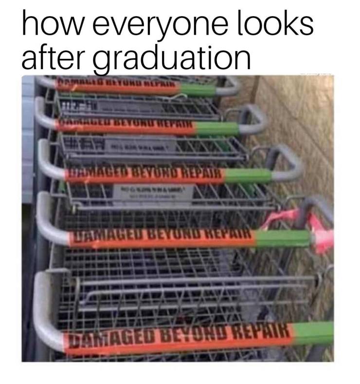 funny picdump 53 pics 14.html - 53 HD Photos | Premium Gallery 2019