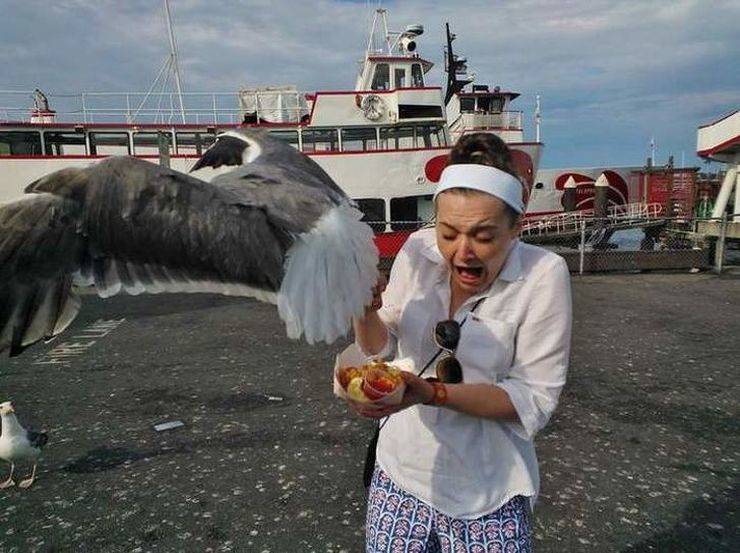 daily picdump 103 pics 41.html - 103 HD Photos | Premium Gallery 2019