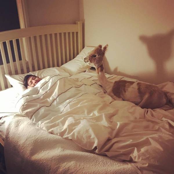 daily picdump 103 pics 41.html - 103 HD Photos | Premium Gallery 2019