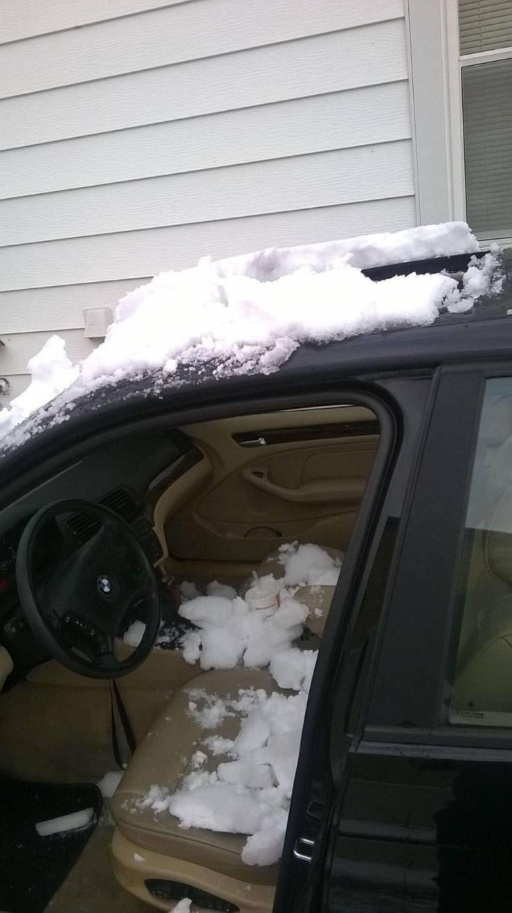 daily picdump 103 pics 41.html - 103 HD Photos | Premium Gallery 2019