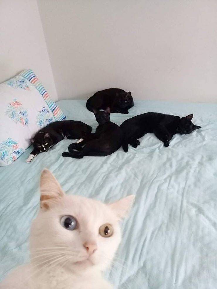 daily picdump 103 pics 41.html - 103 HD Photos | Premium Gallery 2019