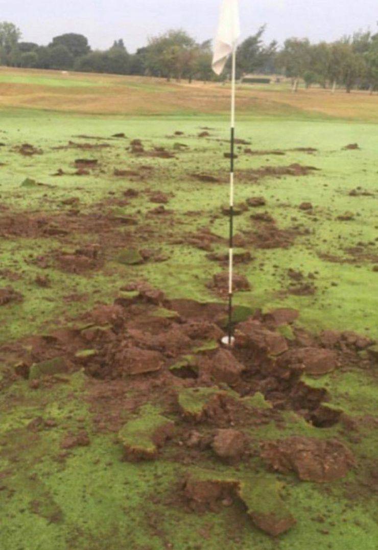 daily picdump 103 pics 41.html - 103 HD Photos | Premium Gallery 2019