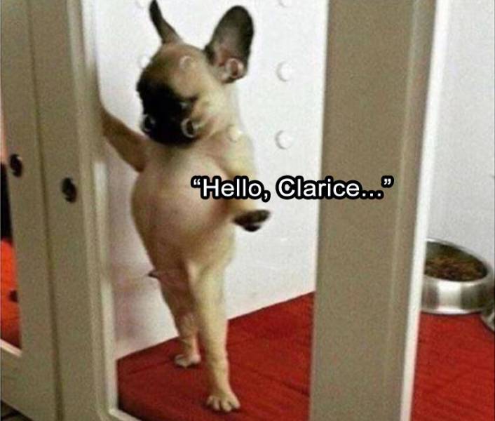 page,6,top 250 funny pics of the year 2019.html - 1 HD Photos | Premium Gallery 2019