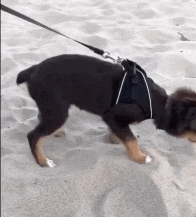 The Regret! THE REGRET!