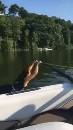 the regret the regret 30 gifs 11.html - 1 HD GIF | Premium Gallery 2019