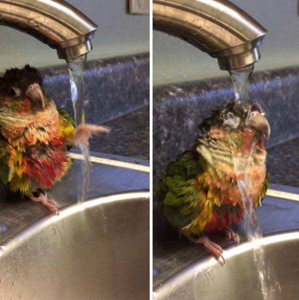 page,19,top 750 daily pics of the year 2019.html - 1 HD Photos | Premium Gallery 2019