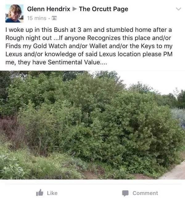 Diagnosis: Absolutely Wasted