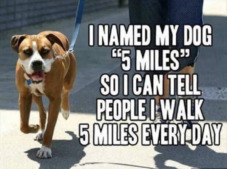 funny picdump 52 pics 21.html - 52 HD Photos | Premium Gallery 2019