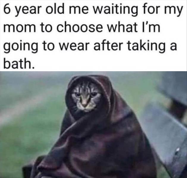 funny picdump 52 pics 21.html - 52 HD Photos | Premium Gallery 2019