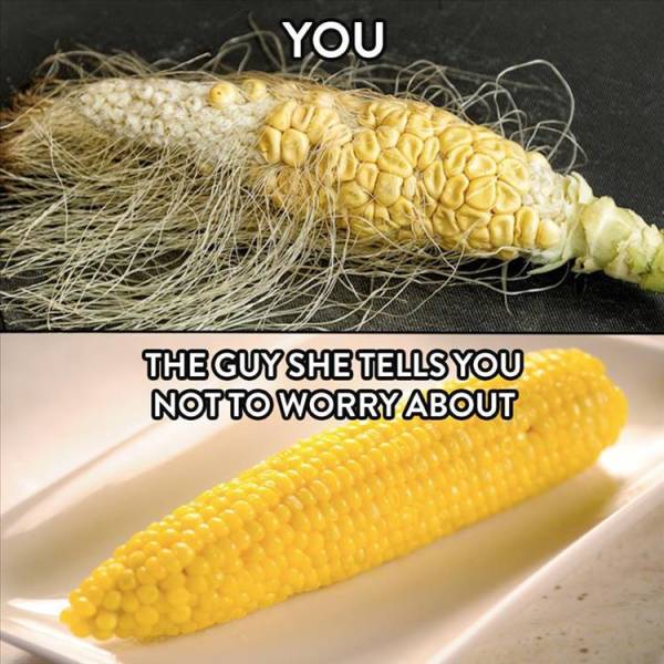 funny picdump 52 pics 21.html - 52 HD Photos | Premium Gallery 2019