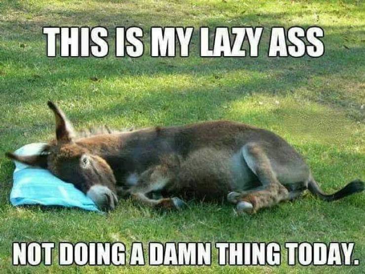 funny picdump 52 pics 25.html - 52 HD Photos | Premium Gallery 2019