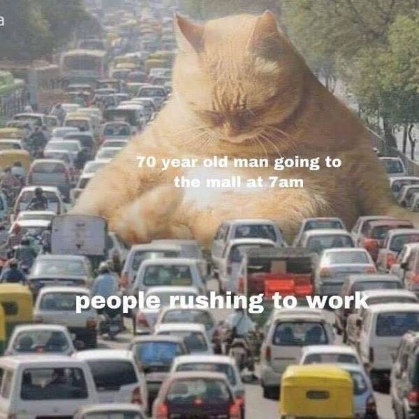 funny picdump 52 pics 25.html - 52 HD Photos | Premium Gallery 2019