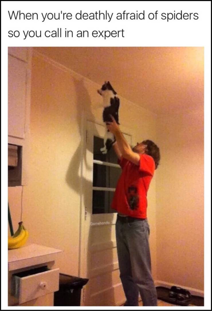 funny picdump 52 pics 25.html - 52 HD Photos | Premium Gallery 2019