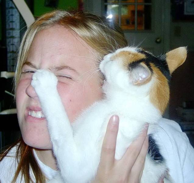 daily picdump 97 pics 35.html - 97 HD Photos | Premium Gallery 2019