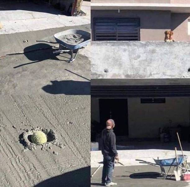 daily picdump 97 pics 35.html - 97 HD Photos | Premium Gallery 2019