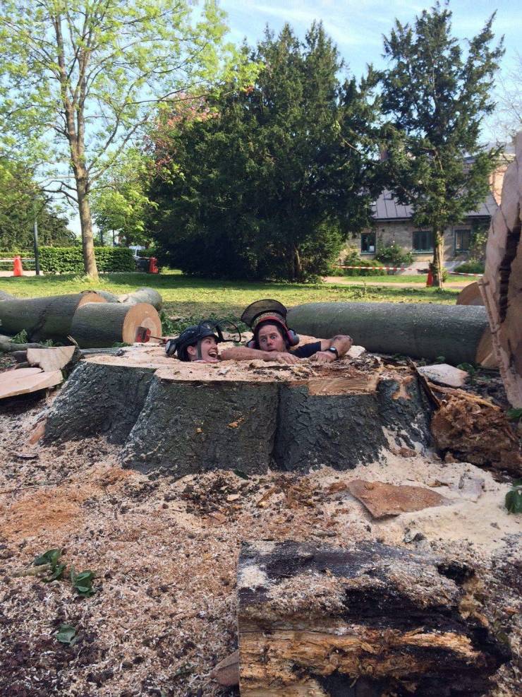 daily picdump 97 pics 35.html - 97 HD Photos | Premium Gallery 2019