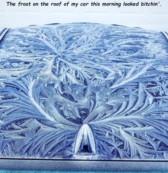 page,19,top 750 daily pics of the year 2019.html - 1 HD Photos | Premium Gallery 2019