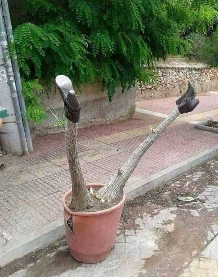 Dirty Mind, Come Here!