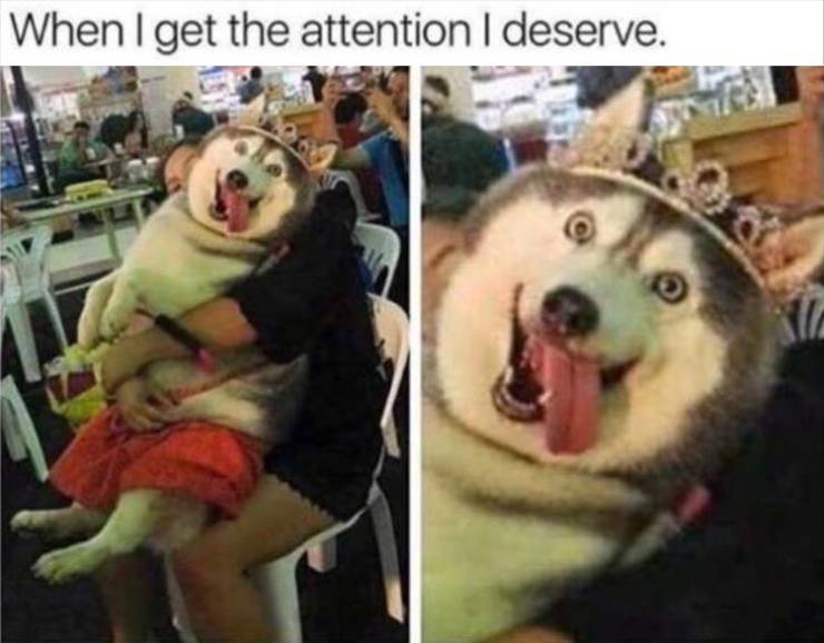 funny picdump 53 pics 8.html - 53 HD Photos | Premium Gallery 2019